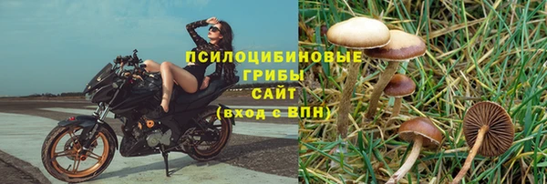 спиды Аркадак