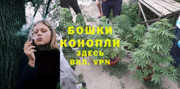 спиды Аркадак