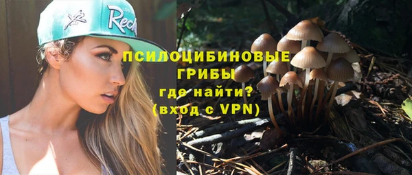 спиды Аркадак